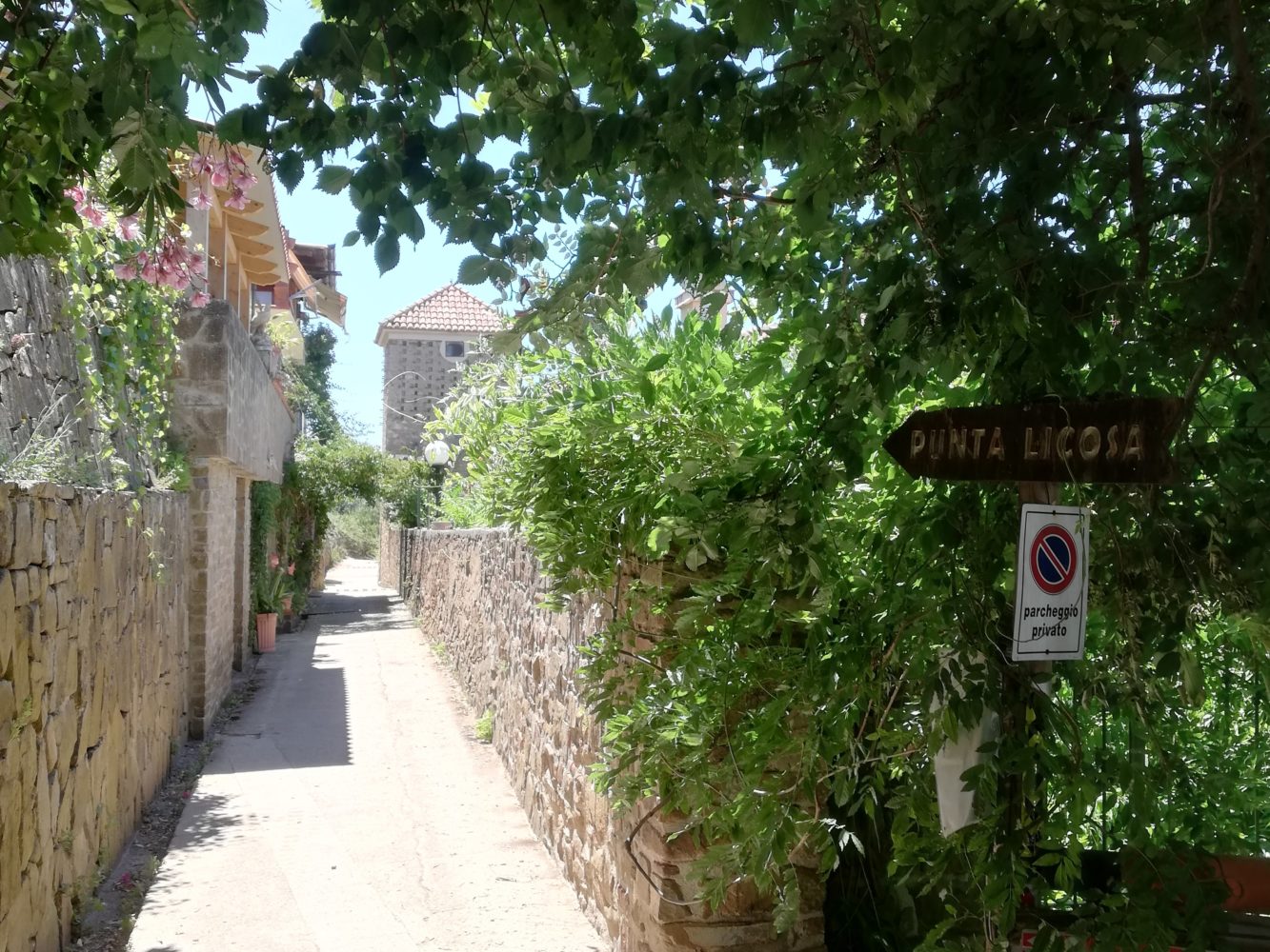 Sentiero per punta licosa, da San Marco di Castellabate alla sirena Leucosia.jpg