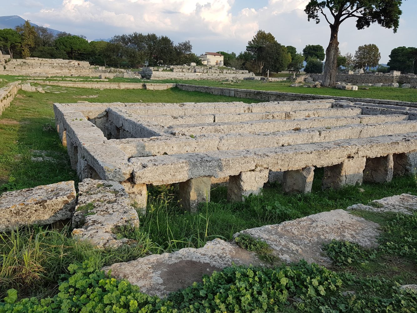 Il santuario di Paestum Parco archeologico di Paestum