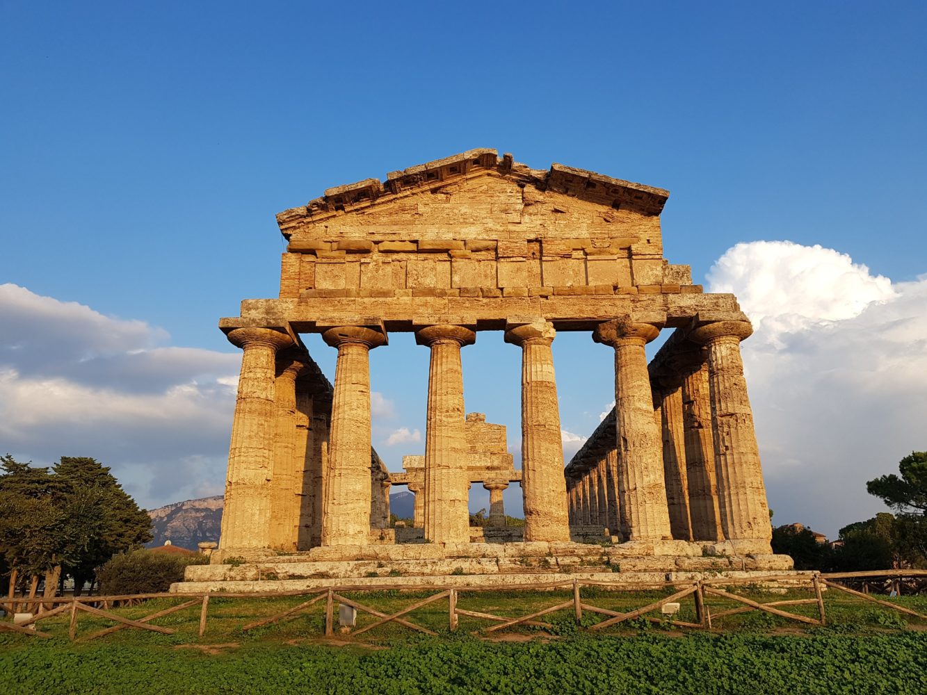 Siti archeologici del Cilento Tempio di Atena Scavi di Paestum, parco archeologico di paestum experience (1)