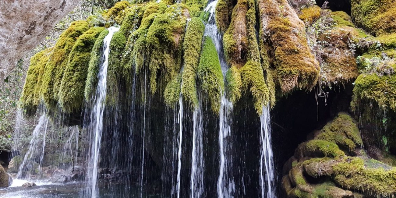 cascata capelli di venere