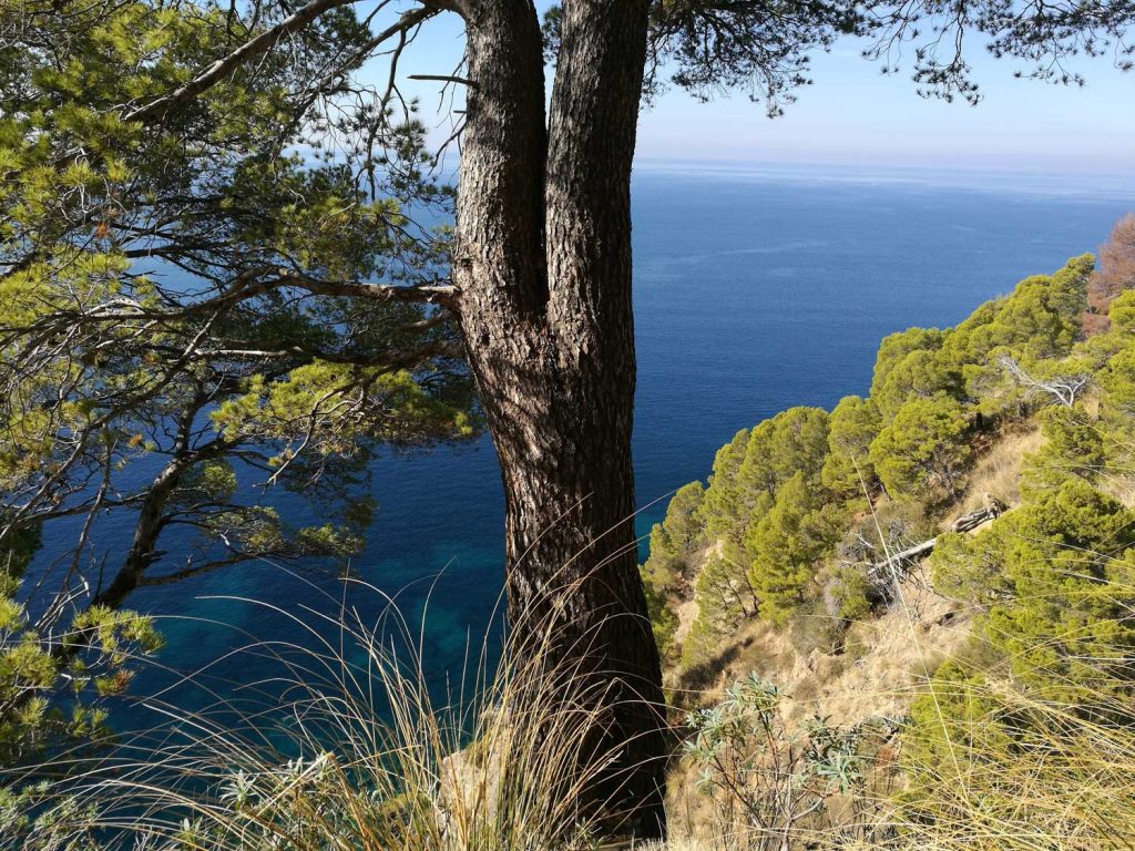 Agnone Cilento E San Nicola A Mare Cosa Fare E Vedere Nelle Frazioni Marine Di Montecorice